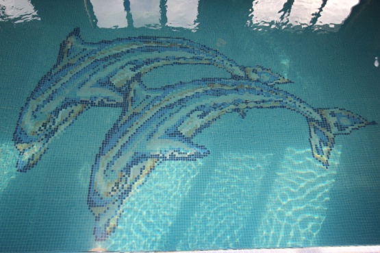 Бассейн с дельфинами из мозаики